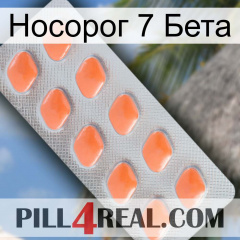 Носорог 7 Бета 26